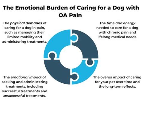 Librela for Dogs: The Ultimate Guide to Managing OA Pain