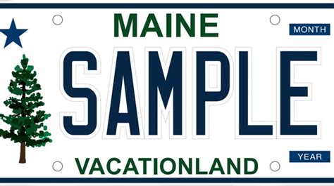 License Plate with Tree: A Symbol of Nature and Identity