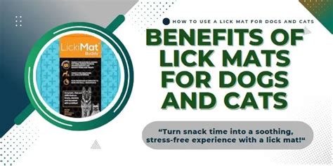 Lick Mats 101: Unlocking Mental Stimulation for Pets in 2025