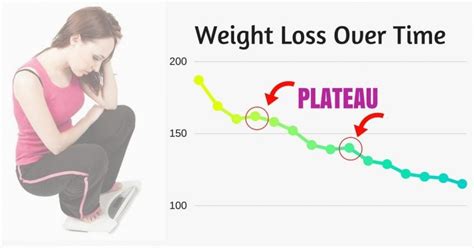 Lie 1: Weight Loss is a Linear Process (1,000 Lies)