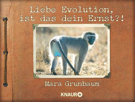 Liebe Evolution ist das dein Ernst German Edition Kindle Editon