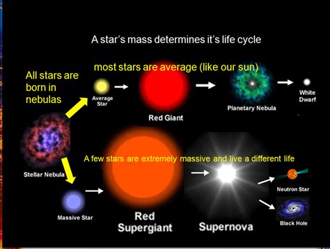 Life Cycle Of Stars Brainpop Answers Epub