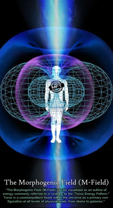 Life Force Access the Energy Field Around You Doc