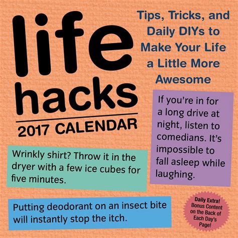 Life Hacks 2017 Day  Calendar Epub