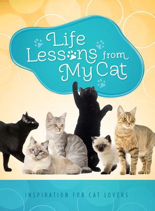 Life Lessons from My Cat Inspiration for Cat Lovers Reader