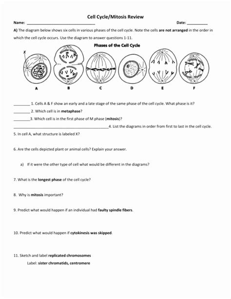 Life Science Cell Reproduction Review Answers Doc