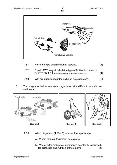 Life Sciences Grade12 Reproduction Questions And Answers Reader