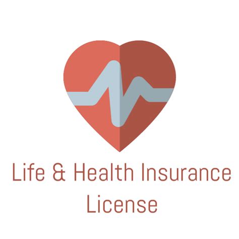 Life and Health Insurance License: An Overview