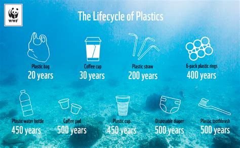 Life in Plastic The Impact of Plastics on India Reader