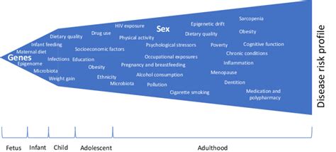 Lifespan: A Complex Factor