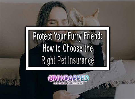 Lifetime Pet Insurance: The Ultimate Guide for Protecting Your Furry Friend for Life