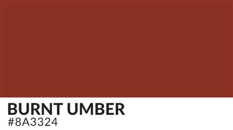 Light Brown: The Umber Hue That Embraces Neutrality and Warmth