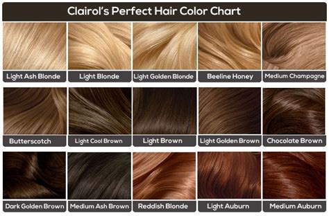 Light Brown Hair Chart