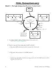 Light Independent Reactions Pogil Answer Key Doc