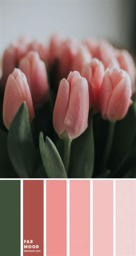 Light Pink: A Versatile and Inspiring Hue