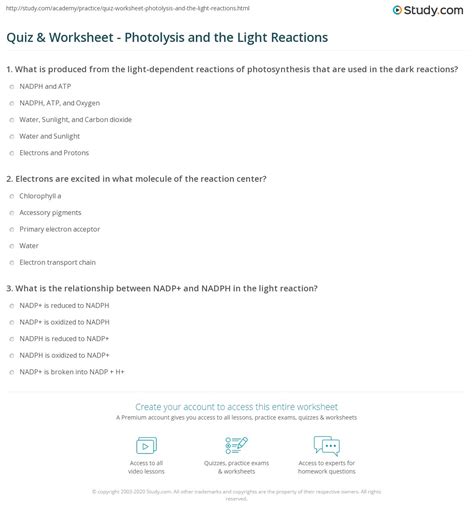 Light Reactions Answer Key PDF