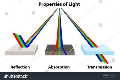 Light Transmission: