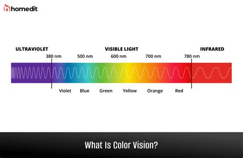 Light Vision Color Epub