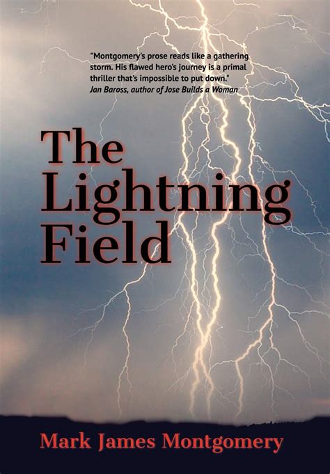 Lightning Field: A Novel Kindle Editon