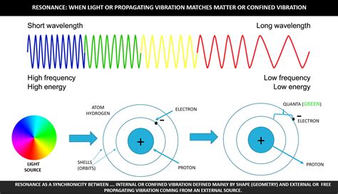 Lightweight and Resonant Bodies: