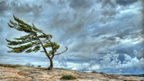 Like a Windy Day