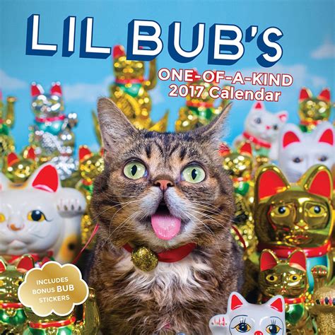 Lil Bub 2017 Wall Calendar Epub