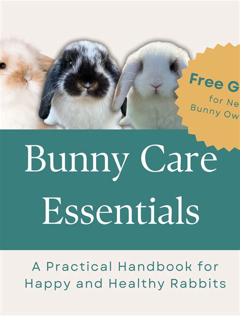 Lil Bunny XOX: A Comprehensive Guide to Caring for Your Miniature Rabbit