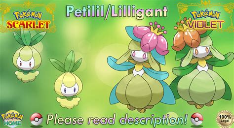 Lilligant Shiny: A Graceful Addition to Any Trainer's Team