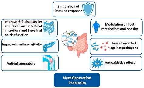 Lily Lacto: The Next Generation of Probiotics