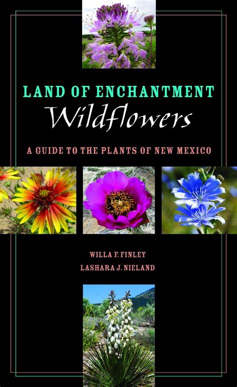 Lily Lommi: A Comprehensive Guide to the Enchanting Wildflower