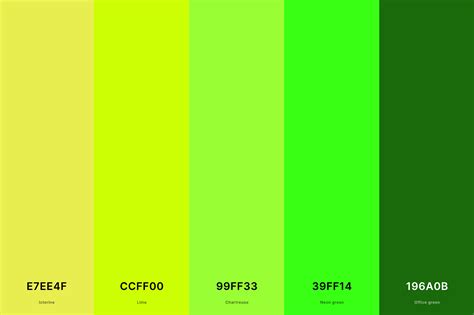 Lime Green: A Vibrant Hue for Bold Statements