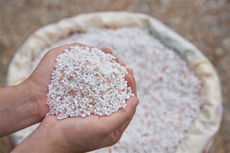 Limestone Fertilizer: Your Ultimate Guide to 10,000+ Amazing Benefits