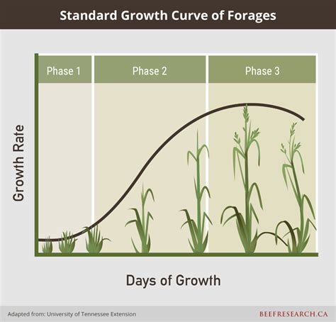 Limited Forage Growth: