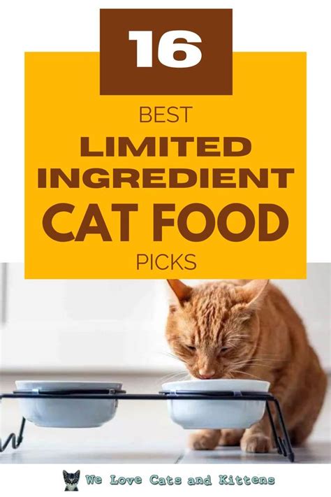 Limited Ingredient Cat Food: A Comprehensive Guide for Cat Owners