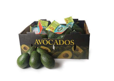 Limoneira Co and Costco Wholesale Corp: A Strategic Partnership for Citrus and Avocado Success