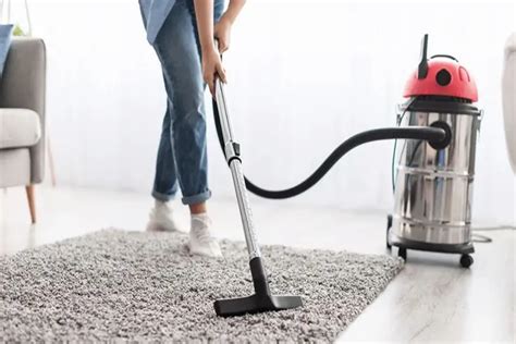 Limpeza Profissional com Karcher: Guia Completo para um Lar Impecável