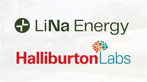 Lina Bina: The Future of Energy