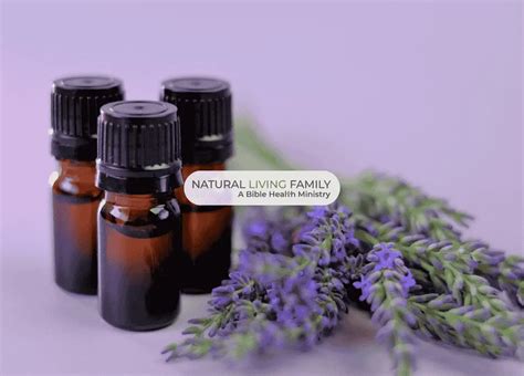 Linaliis: A Comprehensive Guide to the Versatile Essential Oil