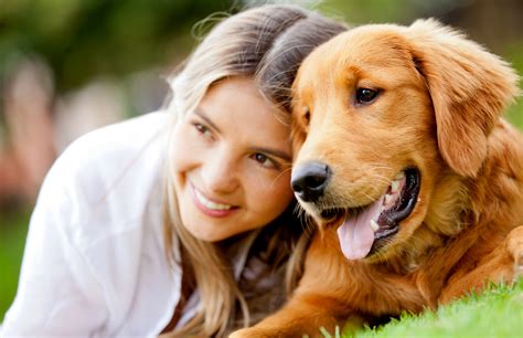 Linalove: The Ultimate Bond Between Humans and Dogs