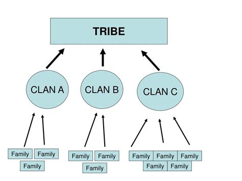 Lineage and Clan Affiliation: