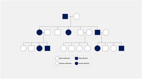 Lineage and Inheritance: