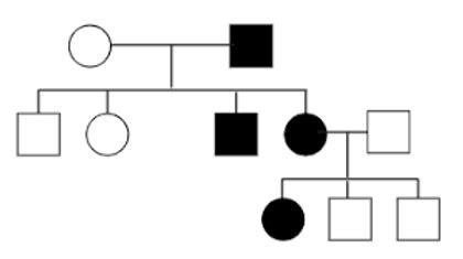 Linhagem e pedigree: