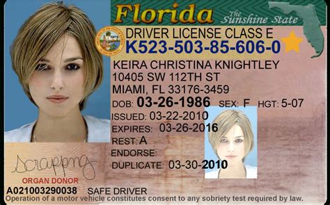 Linkbase Florida Id Template Ebook PDF