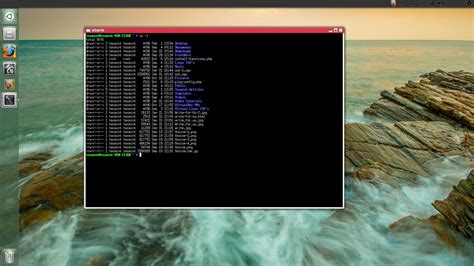 Linux Terminal Emulator: