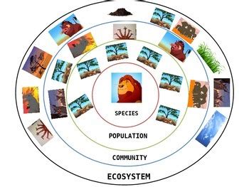 Lion King Ecological And Ecosystem Answers PDF