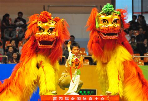 Lions Dance Costume: A Symbol of Strength and Auspiciousness