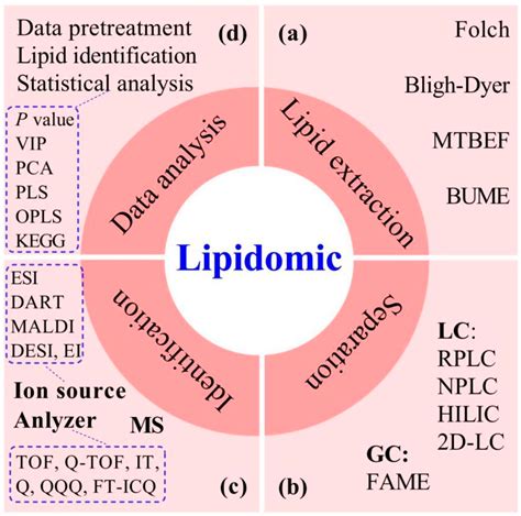 Lipidomics Kindle Editon