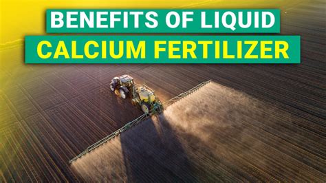 Liquid Calcium Fertilizer: An Overview