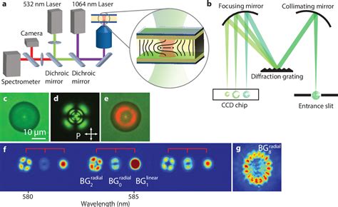 Liquid Crystal Microlasers Reader