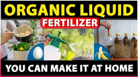 Liquid Organic Fertilizer for Vegetables: The 10,000-Word Guide to Boosting Plant Growth